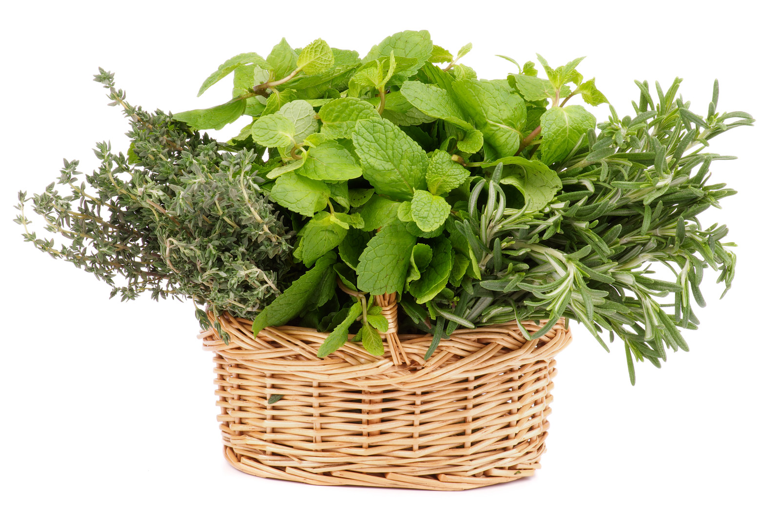 Kruidentuin op je balkon: hoe je begint met aromatische planten